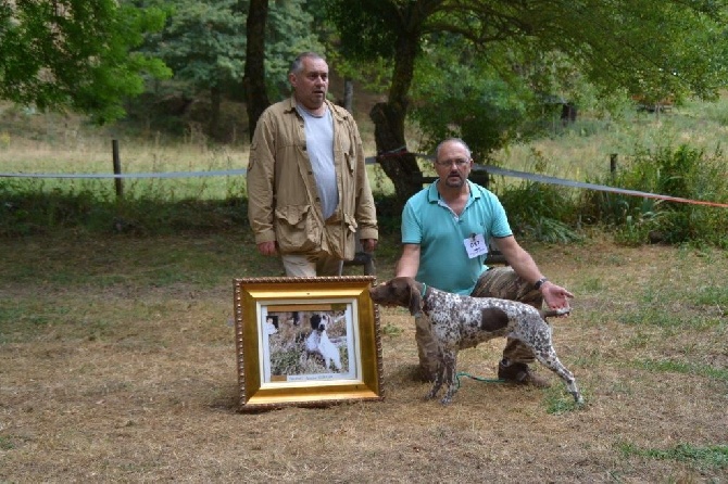 Des Bords De La Rahur - REGIONALE D'ELEVAGE 31 JUILLET 2016